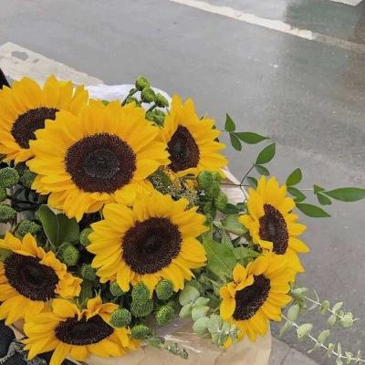 B体育登录APP下载