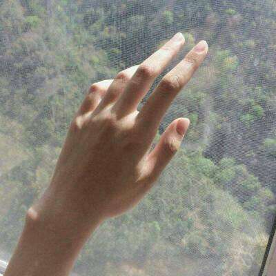 leyu·乐鱼(中国)体育手机app下载