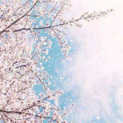 关于“开云电竞APP”app下载截图