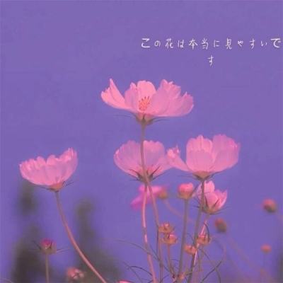 49图库一资料中心app下载