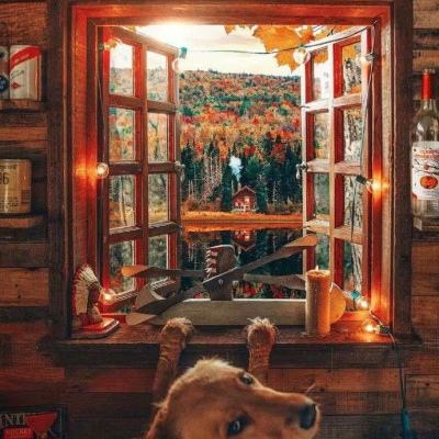 火狐官方网站手机app下载