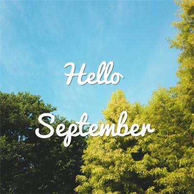 beat365下载手机版