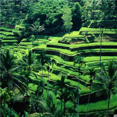 亚虎娱乐app下载下载手机版