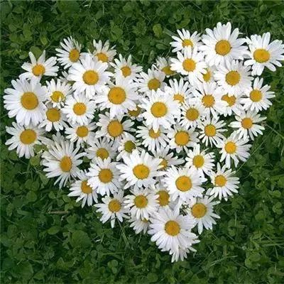 LOL外围官网手机app下载