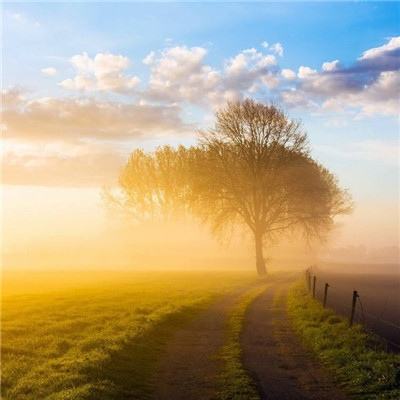 皇冠·app手机app下载